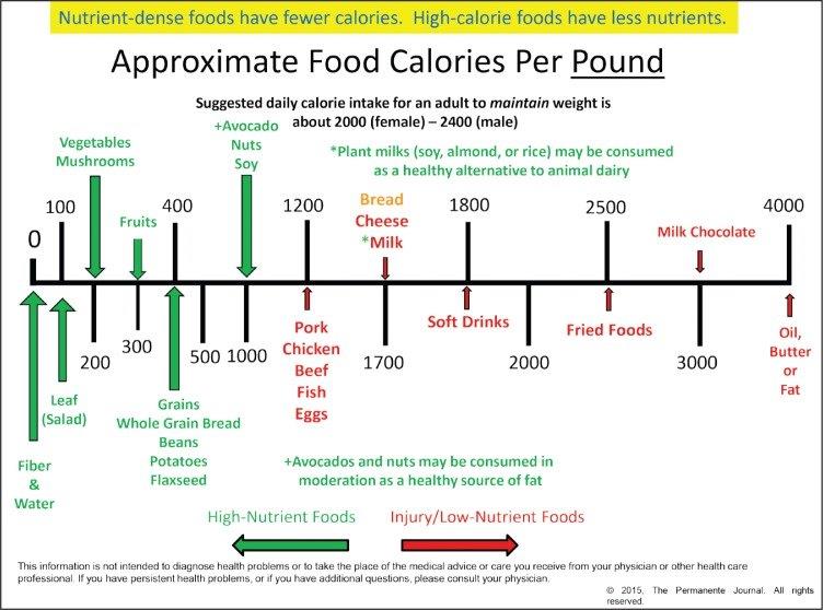 Calorie Density