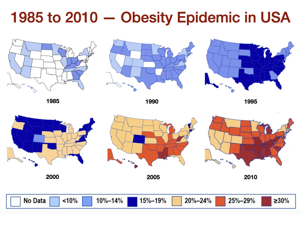 Obesity Epidemic In America 2025 - Almira Norina